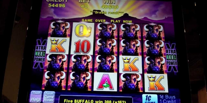 Aristocrat Buffalo slot machine